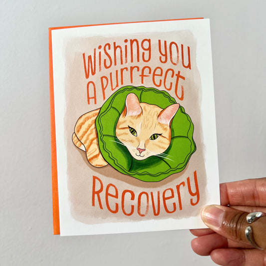 Purrfect Recovery greeting card box set. Card illustration of a tabby cat laying down wearing a green soft cat recovery cone collar. The text in orange reads, "Wishing you a purrfect recovery". Blank inside. Envelope included.